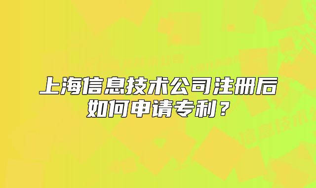 上海信息技术公司注册后如何申请专利?