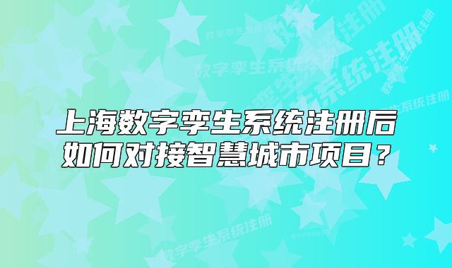 上海数字孪生系统注册后如何对接智慧城市项目?