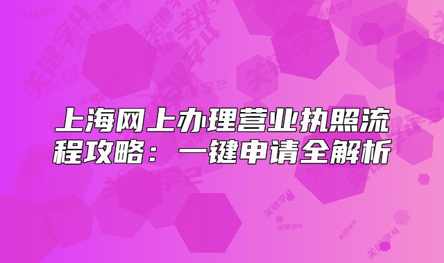 上海网上办理营业执照流程攻略:一键申请全解析
