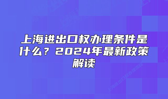 上海进出口权办理条件是什么?2024年最新政策解读