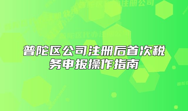 普陀区公司注册后首次税务申报操作指南