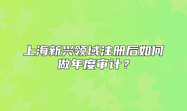 上海新兴领域注册后如何做年度审计?