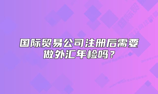 国际贸易公司注册后需要做外汇年检吗?
