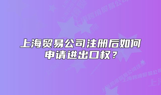 上海贸易公司注册后如何申请进出口权？