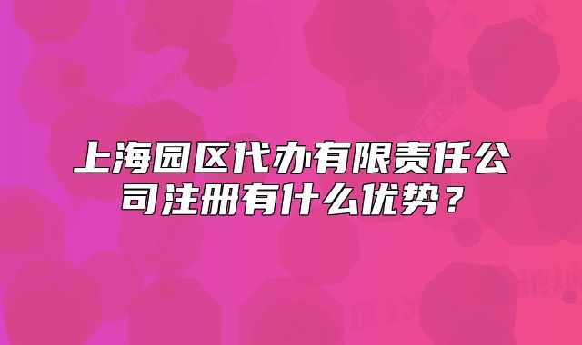 上海园区代办有限责任公司注册有什么优势？