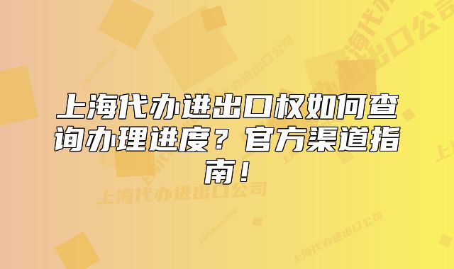 上海代办进出口权如何查询办理进度？官方渠道指南！