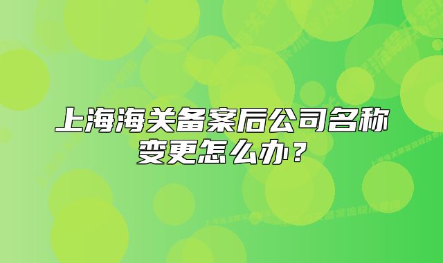 上海海关备案后公司名称变更怎么办？