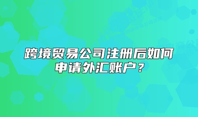 跨境贸易公司注册后如何申请外汇账户?