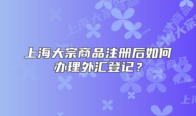 上海大宗商品注册后如何办理外汇登记?