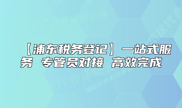 【浦东税务登记】一站式服务 专管员对接 高效完成