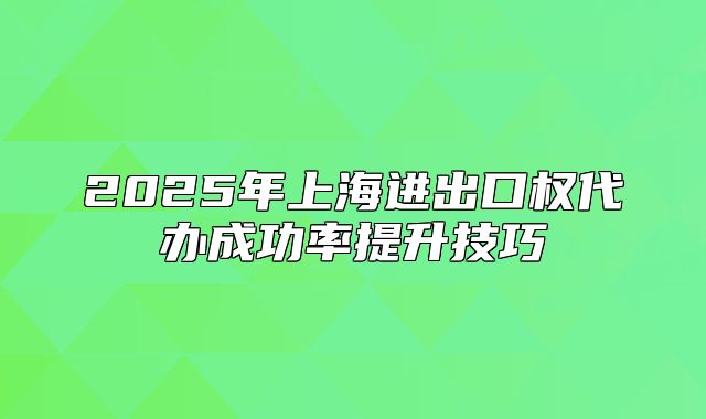 2025年上海进出口权代办成功率提升技巧