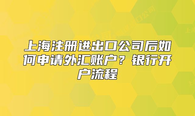 上海注册进出口公司后如何申请外汇账户?银行开户流程