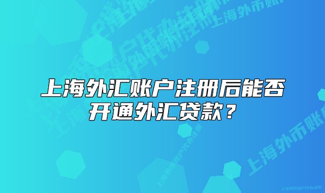 上海外汇账户注册后能否开通外汇贷款?