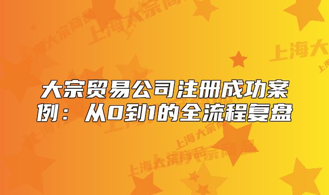 大宗贸易公司注册成功案例：从0到1的全流程复盘