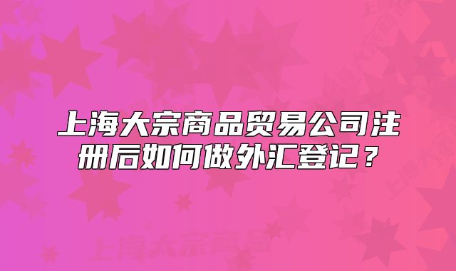 上海大宗商品贸易公司注册后如何做外汇登记?