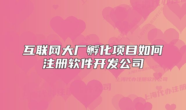 互联网大厂孵化项目如何注册软件开发公司