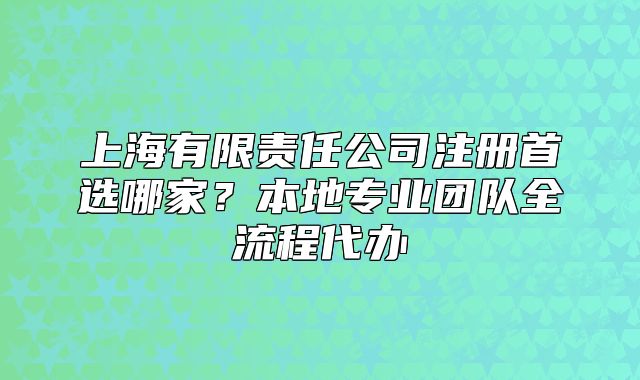 上海有限责任公司注册首选哪家?本地专业团队全流程代办