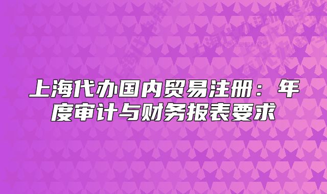 上海代办国内贸易注册:年度审计与财务报表要求