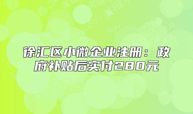 徐汇区小微企业注册:政府补贴后实付280元