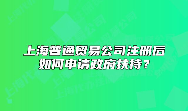 上海普通贸易公司注册后如何申请政府扶持?