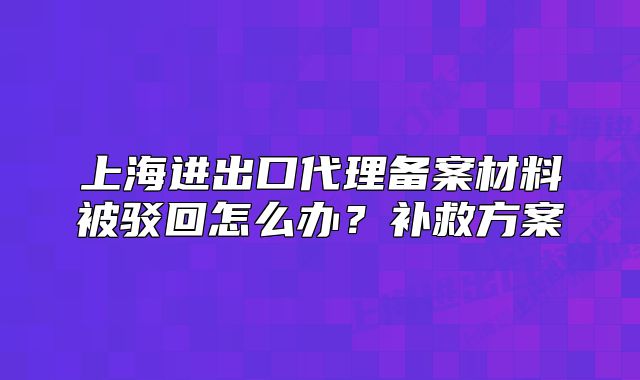 上海进出口代理备案材料被驳回怎么办?补救方案