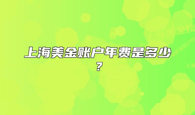 上海美金账户年费是多少?