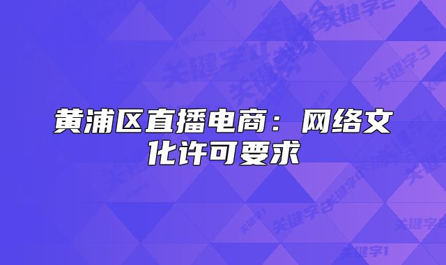 黄浦区直播电商：网络文化许可要求