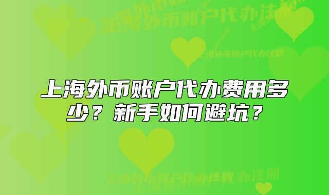 上海外币账户代办费用多少？新手如何避坑？