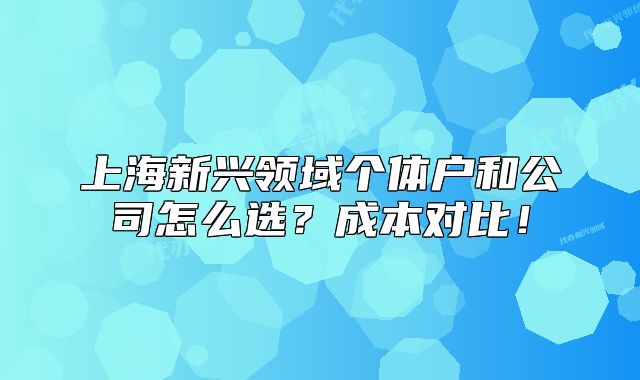 上海新兴领域个体户和公司怎么选?成本对比!