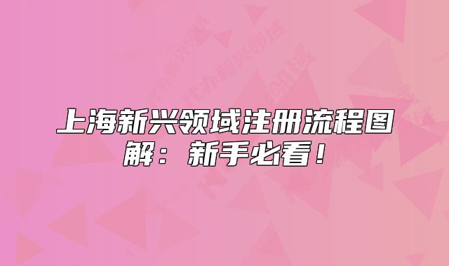 上海新兴领域注册流程图解:新手必看!