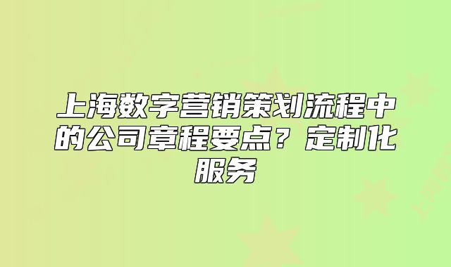 上海数字营销策划流程中的公司章程要点?定制化服务