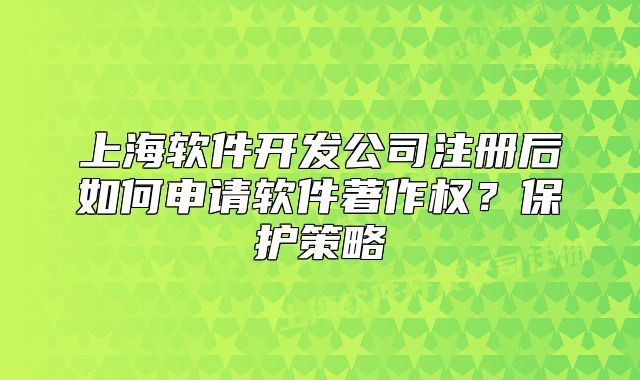 上海软件开发公司注册后如何申请软件著作权?保护策略