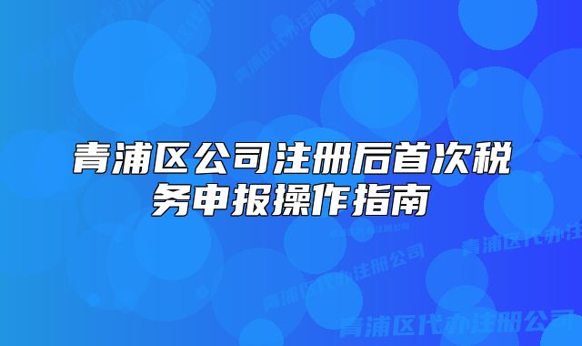 青浦区公司注册后首次税务申报操作指南