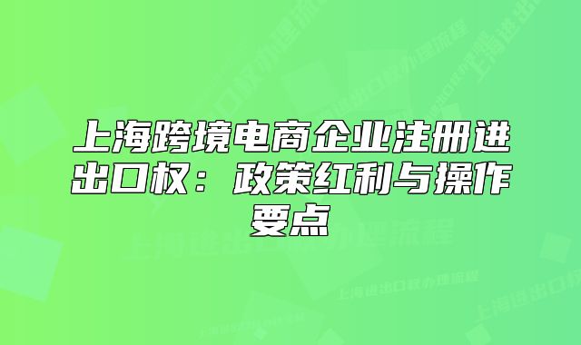 上海跨境电商企业注册进出口权：政策红利与操作要点