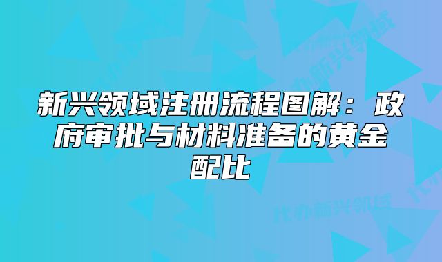 新兴领域注册流程图解：政府审批与材料准备的黄金配比