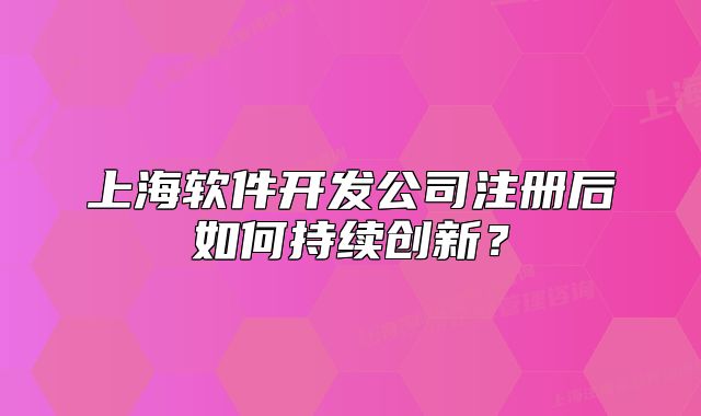 上海软件开发公司注册后如何持续创新?