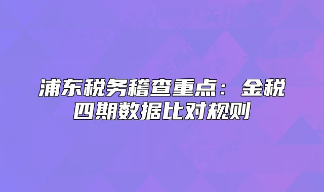 浦东税务稽查重点:金税四期数据比对规则