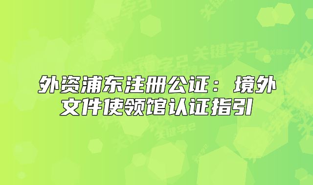 外资浦东注册公证:境外文件使领馆认证指引