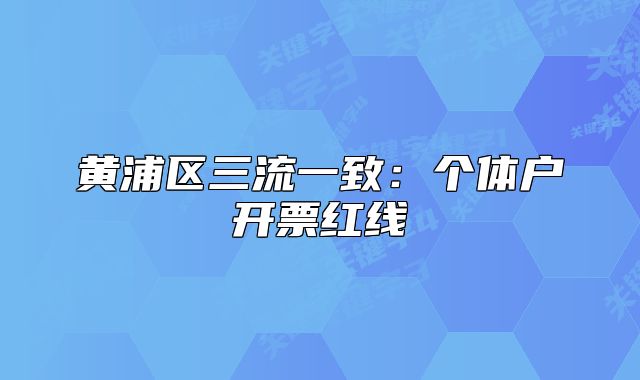 黄浦区三流一致:个体户开票红线
