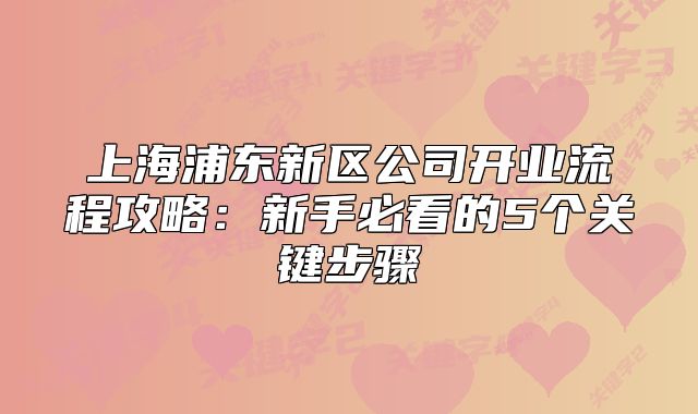 上海浦东新区公司开业流程攻略:新手必看的5个关键步骤