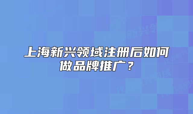 上海新兴领域注册后如何做品牌推广?