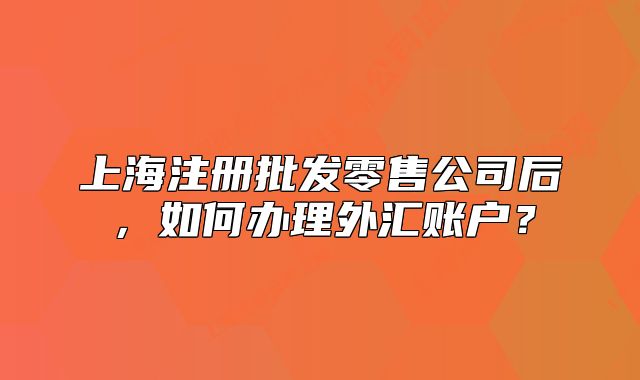 上海注册批发零售公司后，如何办理外汇账户？