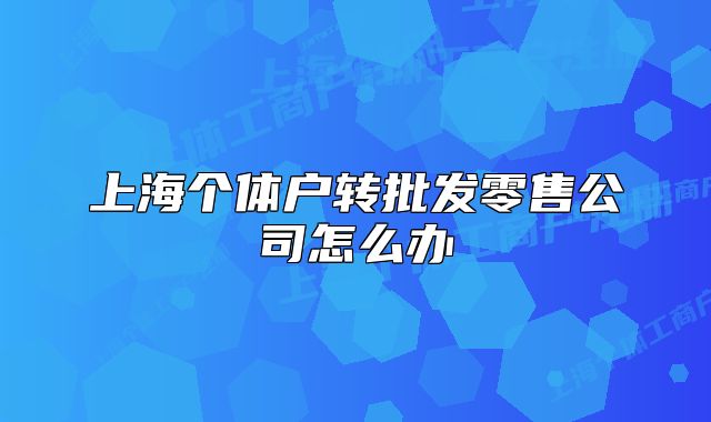 上海个体户转批发零售公司怎么办
