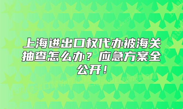 上海进出口权代办被海关抽查怎么办？应急方案全公开！