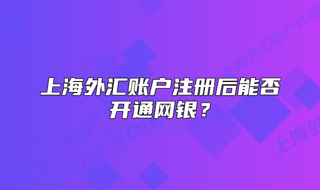 上海外汇账户注册后能否开通网银?