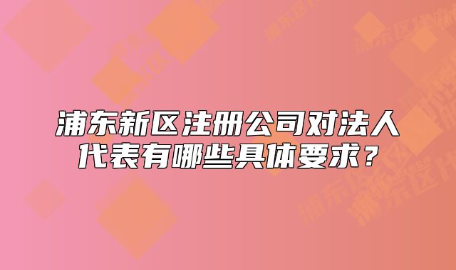浦东新区注册公司对法人代表有哪些具体要求？