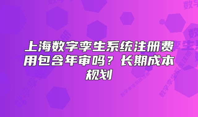上海数字孪生系统注册费用包含年审吗?长期成本规划