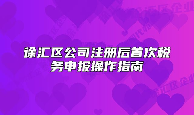 徐汇区公司注册后首次税务申报操作指南