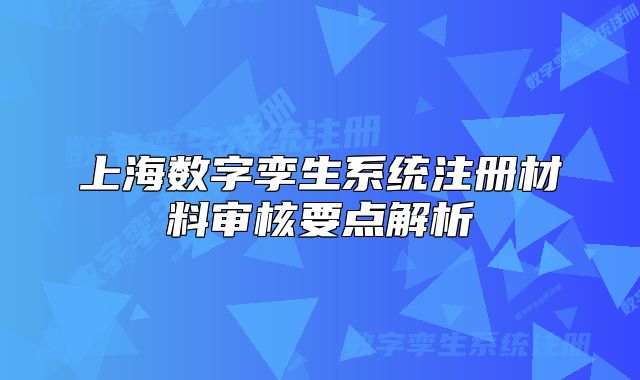 上海数字孪生系统注册材料审核要点解析