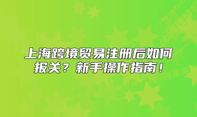 上海跨境贸易注册后如何报关？新手操作指南！